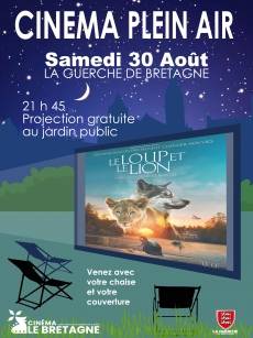 Cinéma en plein air